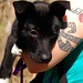 Joy Wyman Photo 5