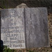 Robert Clapp Photo 8