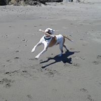 Jennifer Bartels Photo 6