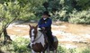 Stephen Lind Photo 18