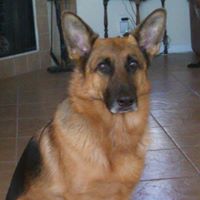 Jill Schultheis Photo 5
