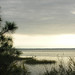Joe Capes Photo 4