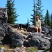 Cindy Messer Photo 16