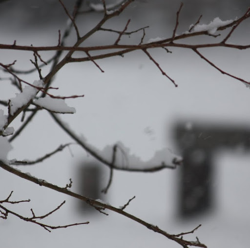 Paul Ray Photo 46