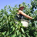 Cathy Baum Photo 7