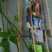Amy Ware Photo 14
