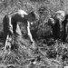 Gerald Rust Photo 5
