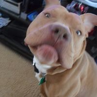 Leroy Keith Photo 5