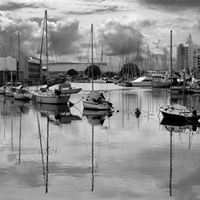 Judith Crane Photo 6