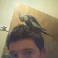 Andrew Major Photo 26