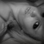 Kelly Schaefer Photo 20