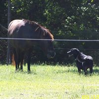 Karen Mccombs Photo 10