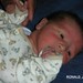 Ronald Monroe Photo 36