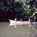 Terry Lamb Photo 31