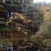 Autumn Crandall Photo 5