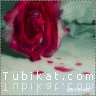Amal Harb Photo 9