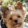 Lee Mccullough Photo 32