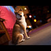 Ken Wolf Photo 14
