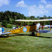 Vivian Bell Photo 36