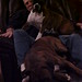 Dennis Duke Photo 20