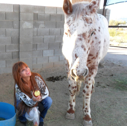 Debbie Floyd Photo 5