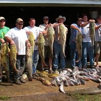 Wayne Berger Photo 6