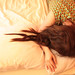 Beth Leonard Photo 11