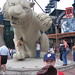 Eddie Park Photo 34