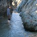 Wade Welsh Photo 15