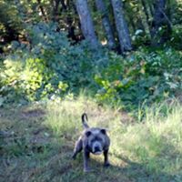 John Workman Photo 9