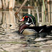 Terry Porter Photo 9