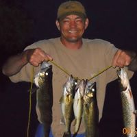 Steven Ashley Photo 26