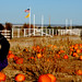 Lisa Mccall Photo 18