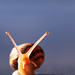 Michele Gold Photo 26