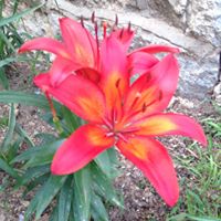 Christine Ward Photo 38