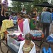 Ann Paradis Photo 9