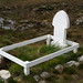 Betty Graves Photo 14