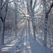 Ray Winters Photo 15