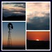 Rhonda Qualls Photo 8