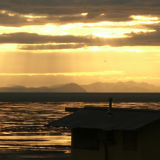 Robert Sanborn Photo 12