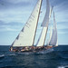 Steven Nevin Photo 5