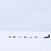 Edward Winters Photo 27