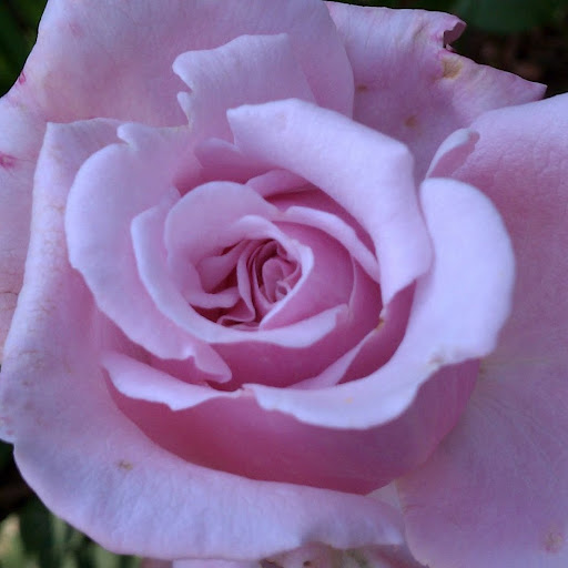 Marie Riley Photo 27