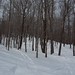 Jay Stratton Photo 9