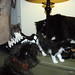 Rudy Chan Photo 22
