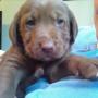 Ginger Clarke Photo 31