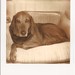 April Hooper Photo 15