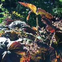 Judy Speck Photo 18