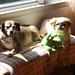 Janice Farley Photo 30