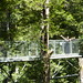 Patricia Trees Photo 5